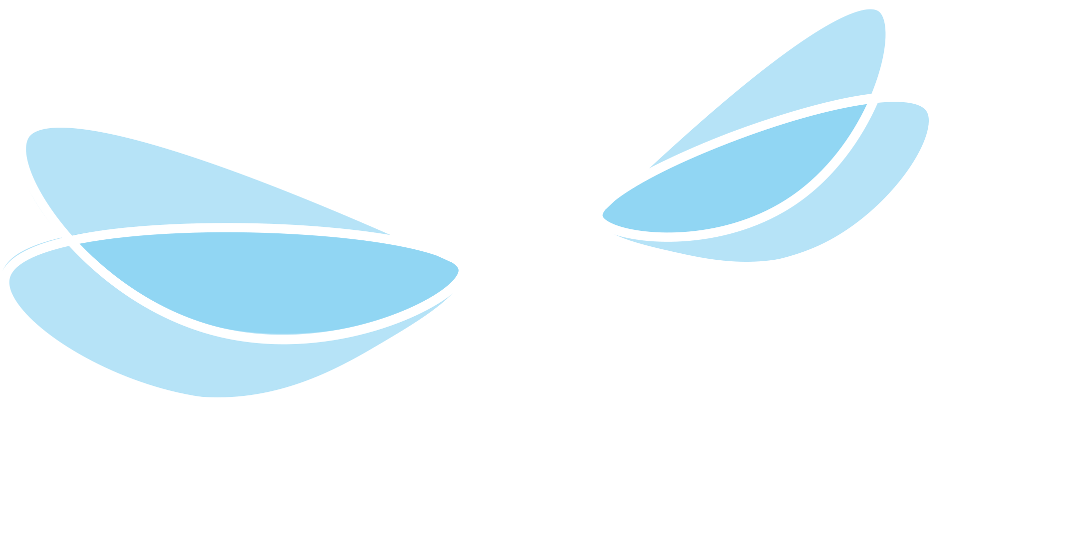 JA MENTOR